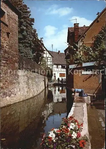 Tauberbischofsheim Am Muehlenkanal Kat. Tauberbischofsheim