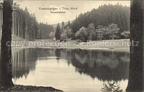 Finsterbergen Brandleiteteich Kat. Finsterbergen Thueringer Wald