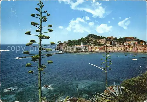 Sestri Levante  Kat. Sestri Levante