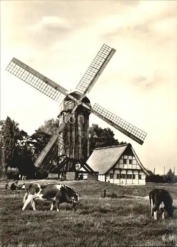 Muenster Westfalen Bockwindmuehle und Muehlenhaus Kat. Muenster