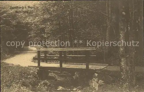 Ilsenstein Harz Bremerweg Kat. Ilsenburg Harz