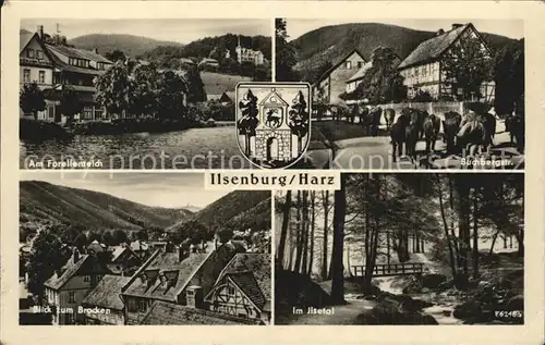 Ilsenburg Harz Forellenteich Buchbergstrasse Ilsetal Kat. Ilsenburg Harz