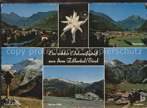 Mayrhofen Zillertal Alpenpanorama Zillertaler Alpen Zell Tuxer Joch Wegekreuz Gerlos Pass Hintertux Edelweiss Kat. Mayrhofen