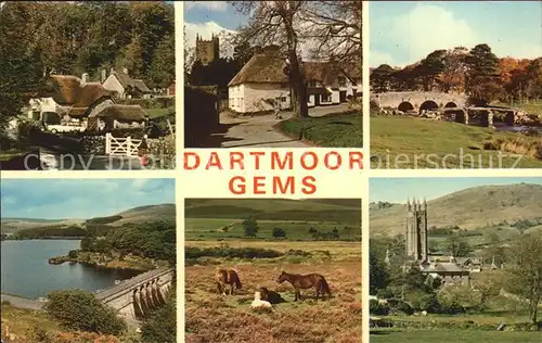 Dartmoor Gems Pferd Bruecke  Kat. Newark and Sherwood