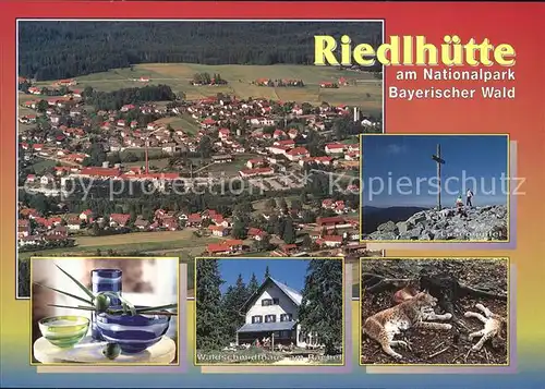 Riedlhuette Waldschidthaus Rachel Luchse Kat. Sankt Oswald Riedlhuette