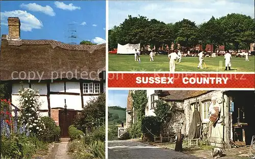 Worthing West Sussex Old Houses Farm House Cricket Kat. Worthing