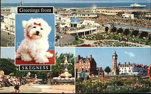 Skegness Grand Parade Gardens and Pier Childrens Paddling Pool Gardens and Clock Tower Dog Kat. United Kingdom