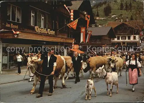 Lenk Simmental Alpaufzug  Kat. Lenk Simmental