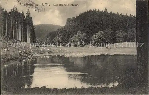 Finsterbergen Brandleiteteich Kat. Finsterbergen Thueringer Wald