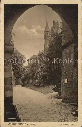 Wernigerode Harz Schlosstor Kat. Wernigerode