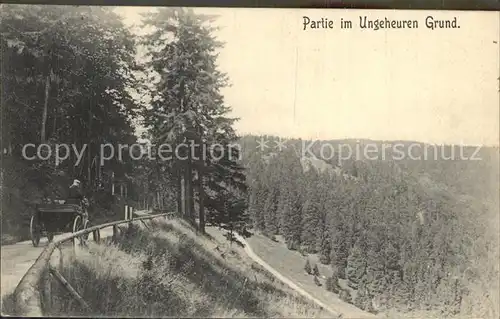 Friedrichroda Partie im Ungeheueren Grund Kat. Friedrichroda