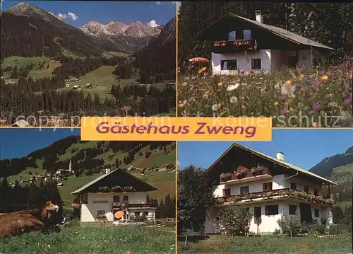 Mittelberg Kleinwalsertal Gaestehaus Zweng Panorama Kat. Oesterreich