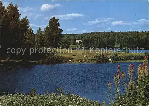 Finnland Suomi See Sommerhaus Panorama Kat. Finnland