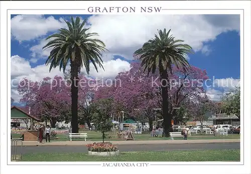 Grafton New South Wales Jacaranda City Princes Street Kat. Grafton