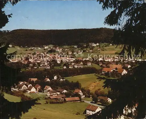 Baiersbronn Schwarzwald  Kat. Baiersbronn