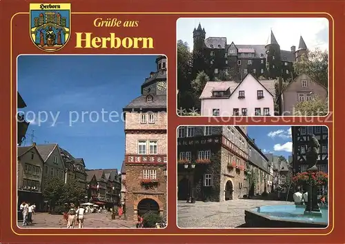 Herborn Hessen Schloss Marktplatz Rathaus Brunnen Kat. Herborn