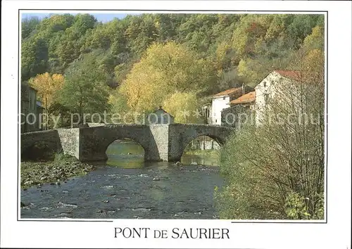 Saurier Pont Collection Image d Auvergne en automne Kat. Saurier