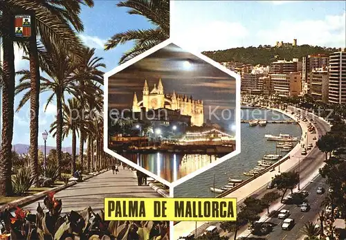 Palma de Mallorca Paseo Sagrera Vista nocturna Paseo Maritimo Kat. Palma de Mallorca
