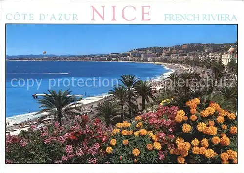 Nice Alpes Maritimes Promenade des Anglais Plage Fleurs Cote d Azur Kat. Nice