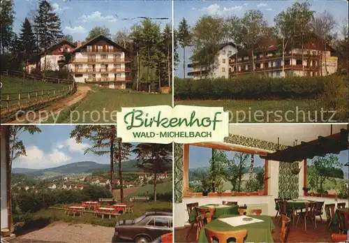 Wald Michelbach Restaurant Birkenhof Kat. Wald Michelbach