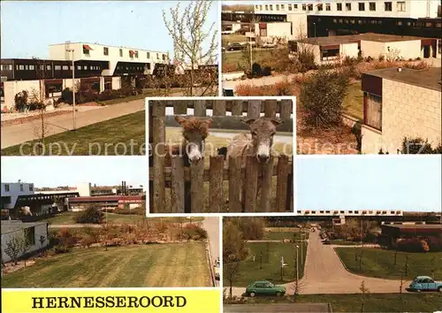 Middelharnis Hernesseroord Kat. Middelharnis