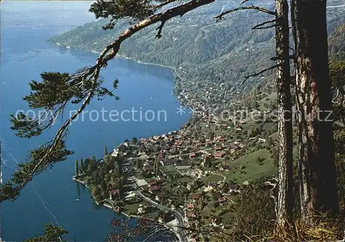 Merlingen am Thunersee Fliegeraufnahme Kat. Thun