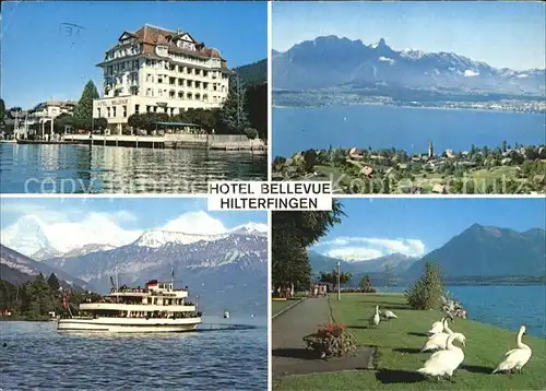 Hilterfingen Thunersee Hotel Bellevue Panorama Fahrgastschiff Schwaene Promenade