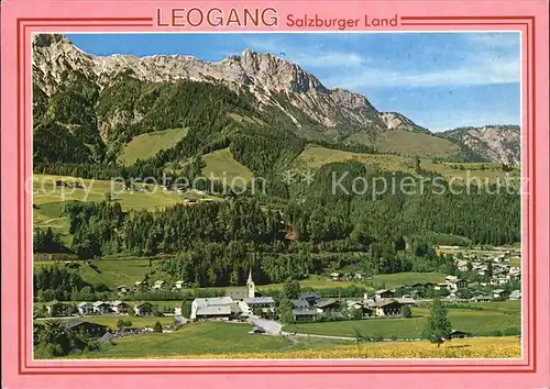 Leogang Panorama Blick gegen die Steinberge Kat. Leogang