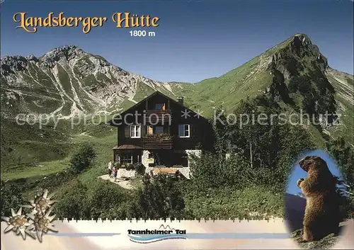 Tannheim Tirol Landsberger Huette Berghaus mit Steinkarspitze und Rotspitze Allgaeuer Alpen Murmeltier Kat. Tannheim