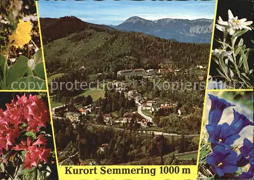 Semmering Niederoesterreich Kurort Raxalpe Edelweiss Enzian Alpenrose Schluesselblume Kat. Semmering