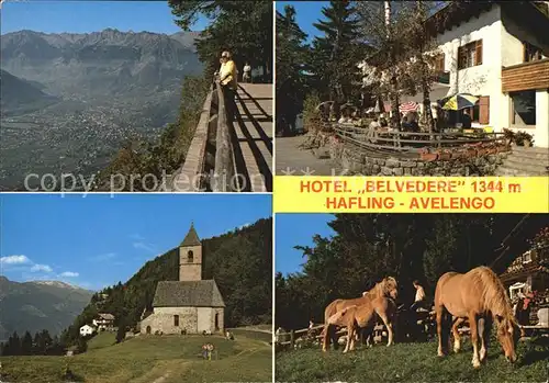Hafling Meran Hotel Belvedere Kirche Pferde  Kat. Avelengo Suedtirol