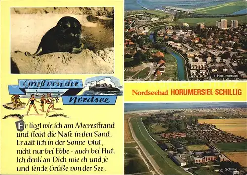 Horumersiel Schillig Seehund Kat. Wangerland