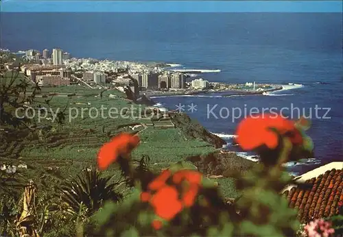 Puerto de la Cruz Fliegeraufnahme Bananenplantagen  Kat. Puerto de la Cruz Tenerife