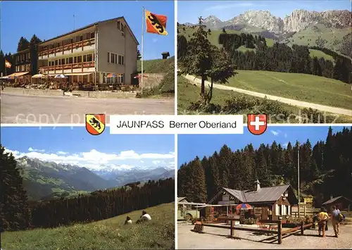 Jaunpass Hotel des Alpes Teilansicht Kat. Jaun