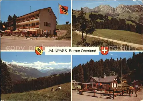 Jaunpass Hotel des Alpes Gastlosen Simmental Sportbazar Kat. Jaun