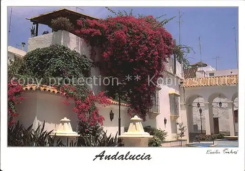 Marbella Andalucia  Kat. Marbella