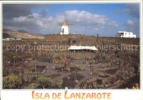 Lanzarote Kanarische Inseln Kaktusgarten