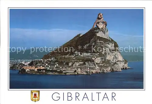 Gibraltar Berge Strassen Affe Kat. Gibraltar