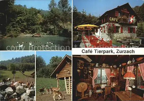 Zurzach Cafe Tierpark  Kat. Zurzach