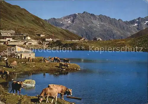 Oberalppass Restaurant Piz Calmot Kat. 