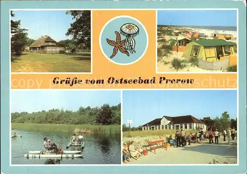 Prerow Ostseebad Rohrdachhaus Campingplatz Tretboot Prerowstrom Duenenhaus Kat. Darss