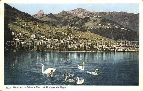 Montreux VD Glion Caux Rochers de Naye Kat. Montreux