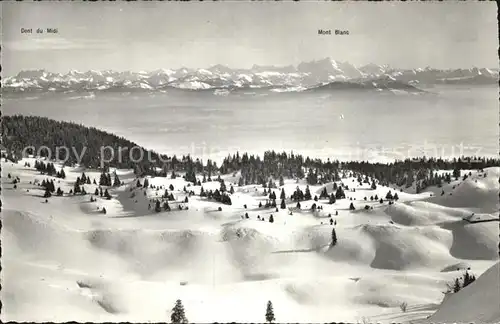 Dole La Alpes de la Savoie Mont Blanc Kat. La Dole