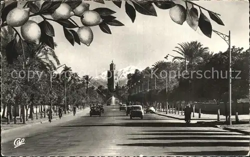 Marrakech Marrakesch Avenue Mohammed V la Koutoubia et l Atlas enneige Kat. Marokko