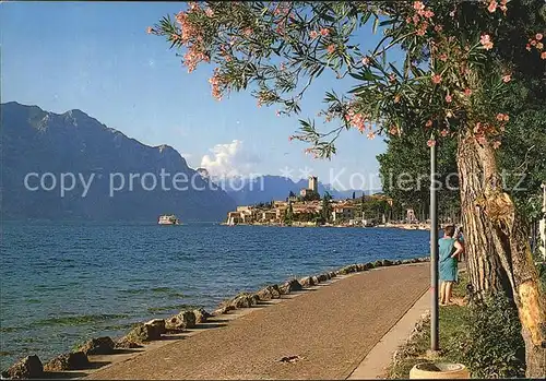 Malcesine Lago di Garda Seepromenade Kat. Malcesine