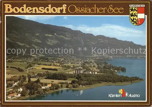 Bodensdorf Steindorf Fliegeraufnahme Ossiacher See Kat. Steindorf am Ossiacher See Kaernten