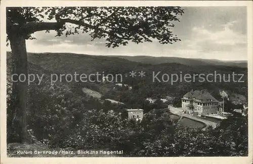 Gernrode Harz Panorama Blick ins Hagental Kat. Gernrode Harz