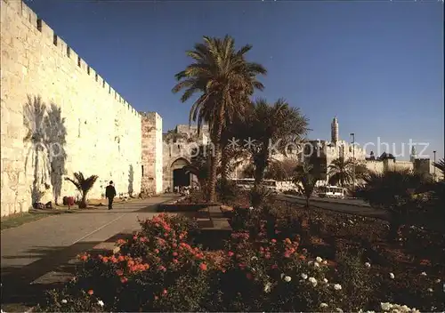 Jaffa Jaffator Kat. Israel