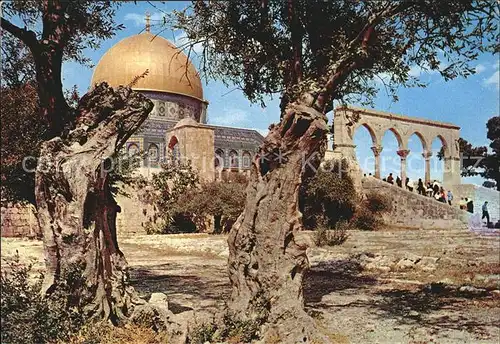 Jerusalem Yerushalayim Dom of the Rock Kat. Israel