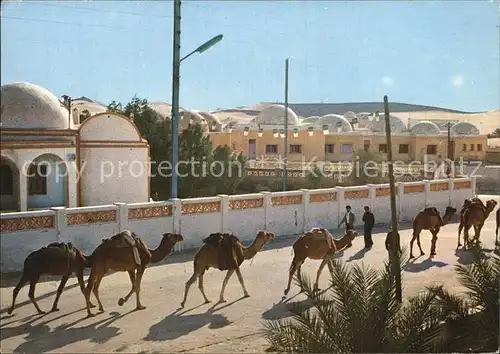El Oued Caravane de Chameaux Kat. Algerien